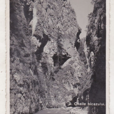 bnk cp Lacul Rosu - Ghilcos - Vedere - uzata 1936