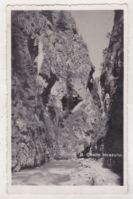 bnk cp Lacul Rosu - Ghilcos - Vedere - uzata 1936 foto
