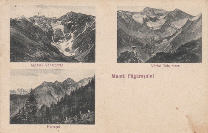 MUNTII FAGARASULUI , CIRCULATA 1936