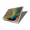 Display laptop Acer Aspire 7745G-9586