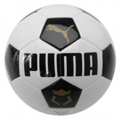 In STOC! Minge Puma King Force Football - Originala - Marime Oficiala &amp;quot; 5 &amp;quot; foto