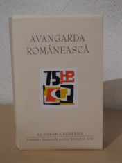 Avangarda romaneasca - Ion Pop (Academia Romana) foto