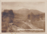 VEDERE DE PE VARFUL PIETROSU (2305) NORD