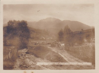 VEDERE DE PE VARFUL PIETROSU (2305) NORD foto