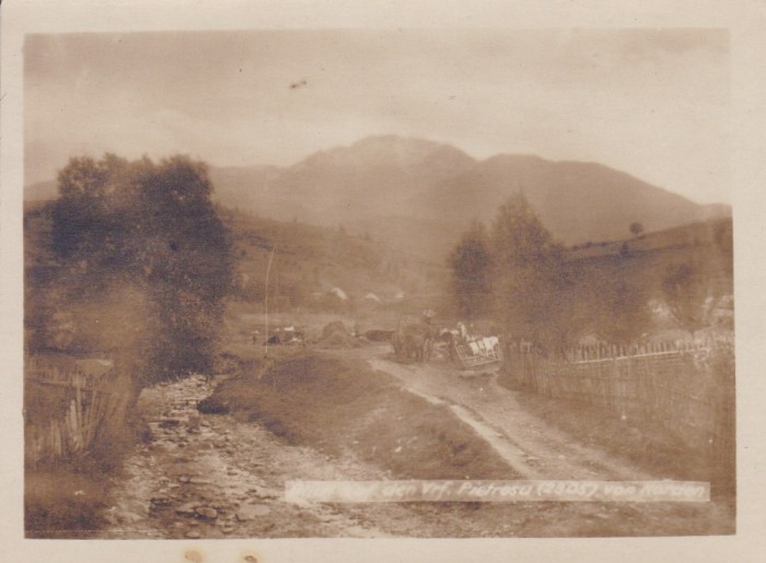 VEDERE DE PE VARFUL PIETROSU (2305) NORD
