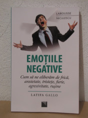 EMOTIILE NEGATIVE -LATIFA GALLO foto