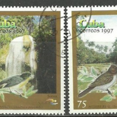 Cuba 1997 - PASARI CANTATOARE, serie stampilata, R10