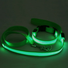 Set lesa cu zgarda LED verde foto