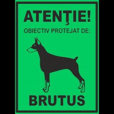 Semn fosforescent Obiectiv Protejat de Brutus foto