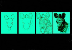Set tablou fosforescent Lectia de pictura in 4 pasi - Zebra foto