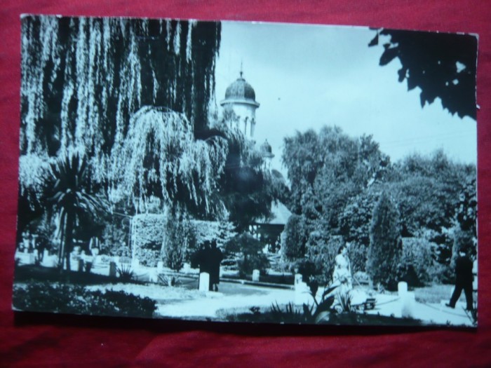 Ilustrata Radauti - Vedere din Parc ,circ. 1968