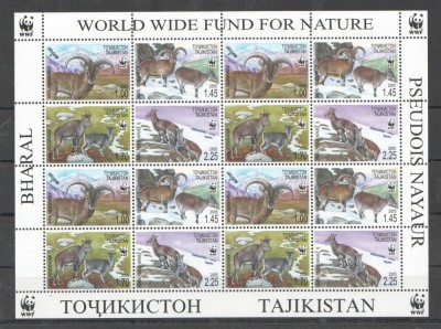 TAJIKISTAN 2005 FAUNA PROTEJATA WWF CERBI foto