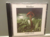 BLONKER - STRAIGHT AHEAD (2002/ACOUSTIC REC/GERMANY) - ORIGINAL/NOU/SIGILAT, CD, universal records