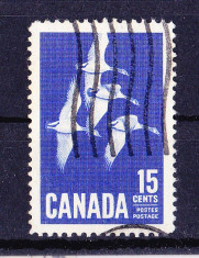 Timbre CANADA 1963 = GASTE CANADIENE foto