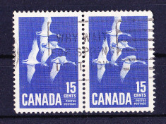 Timbre CANADA 1963 = GASTE CANADIENE foto