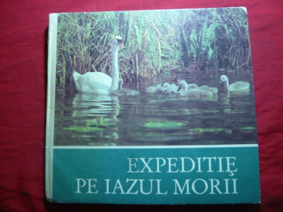 Sandu Singer - Expeditie pe Iazul Morii -Ed 1984 ,cartonat ,ilustrat color foto