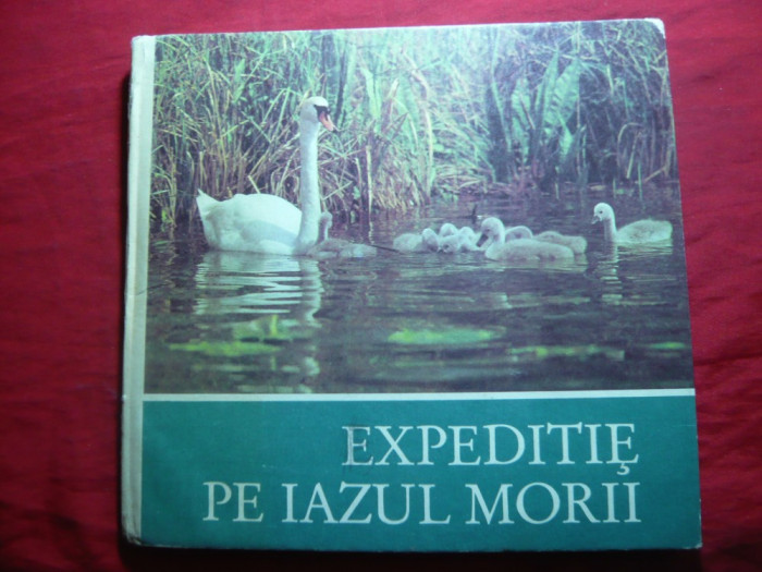 Sandu Singer - Expeditie pe Iazul Morii -Ed 1984 ,cartonat ,ilustrat color