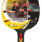 Paleta Tenis de Masa, Donic, Team Germany Line, Level 500, Control, Concav - OLN-ONL1-723058