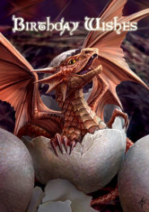 Felicitare dragon Birthling foto