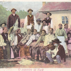 SALUTARI DIN ROMANIA O SEZATOARE LA TARA COSTUME POPULARE CLASICA CIRC. 1905