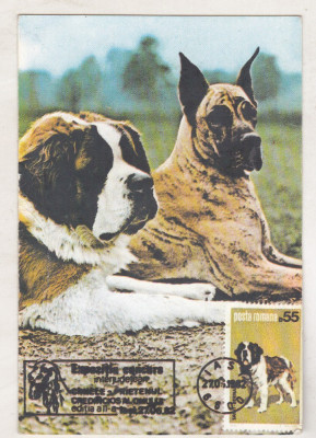 bnk cld Calendar de buzunar - 1989 - caini foto