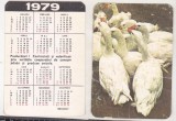 bnk cld Calendar de buzunar - 1979 - RECOOP - pasari