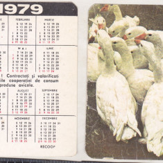 bnk cld Calendar de buzunar - 1979 - pasari