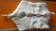 Vesta piele de capra foto