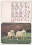 bnk cld Calendar de buzunar - 1987 - oi