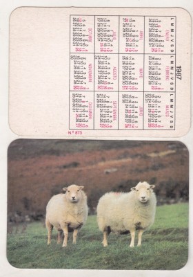 bnk cld Calendar de buzunar - 1987 - oi foto