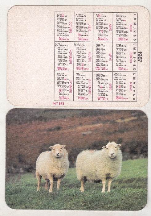 bnk cld Calendar de buzunar - 1987 - oi