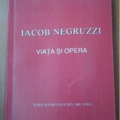 Iacob Negruzzi Viata si Opera / Valeriu Birlan