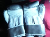 Manusi Box pt. antrenament ,masura 14 ,Marca Everlast ,fata din piele