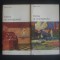 ROBERT KLEIN - FORMA SI INTELIGIBILUL 2 volume