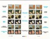Wallis si Futuna 1987 fauna marina MI 530-35 kleib. mare MNH w33, Nestampilat