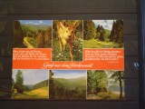 GERMANIA - PEISAJE SI CAPRITA DIN REGIUNEA FRANKENWALD - CIRCULATA,