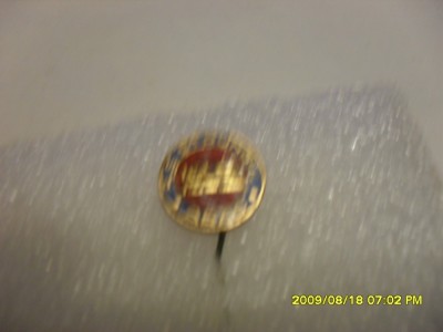 Insigna A.S. Strungul Arad foto