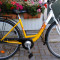 Bicicleta de oras Vortex Cityline, import Germania