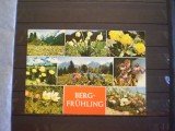 GERMANIA - FLORA - BERG-FRUHLING - NECIRCULATA .
