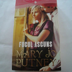 Focul ascuns - Mary Jo Putney