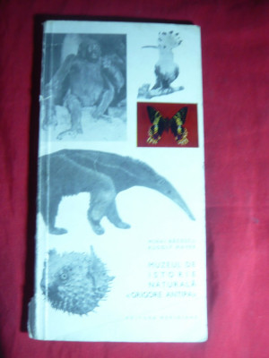 Monografie - Muzeul de Istorie Naturala Gr.Antipa 1967 ,cu ilustratii foto