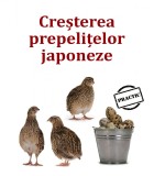 CREŞTEREA PREPELIŢELOR JAPONEZE - IDEI de AFACERI