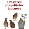CREŞTEREA PREPELIŢELOR JAPONEZE - IDEI de AFACERI