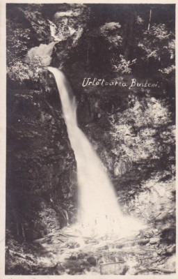 URLATOAREA , BUSTENI , CIRCULATA 1928 foto