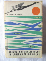 &amp;quot;GHIDUL NATURALISTULUI IN LUMEA APELOR DULCI&amp;quot;, E. Chiriac / M. Udrescu, 1965 foto