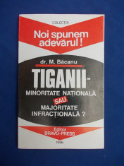 DR. M. BACANU - TIGANII:MINORITATE NATIONALA SAU MAJORITATE INFRACTIONALA ?-1996 foto