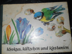 KROKUS, KATZCHEN UND KASTANIEN - COMPLET CARTONATA CARTE COPII IN LIMBA GERMANA foto