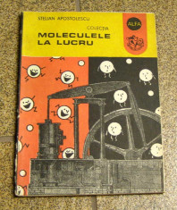 Stelian Apostolescu - Moleculele la lucru(1042) foto