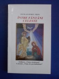 Intre fantani celeste / Nicolae Dorel Trifu / cu autograf / R2P4S