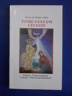 Intre fantani celeste / Nicolae Dorel Trifu / cu autograf / R2P4S foto